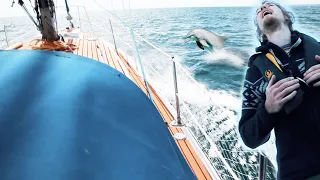 It’s too ROUGH! we’re turning back | Dolphins n boat life | Wildlings Sailing Ep.8