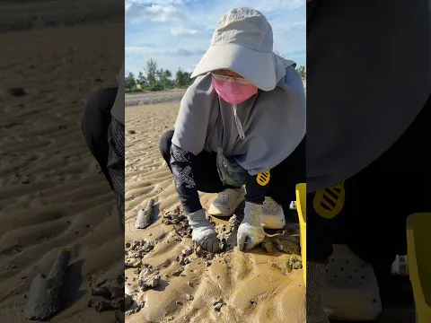 Makin sering ke pantai makin mata elang‼️kerang gak bisa sembunyi😄 #mamahnada #carikerang