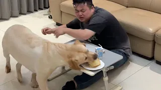 肉肉看个够🐶：半夜想看恐怖片，还好有狗子陪着我