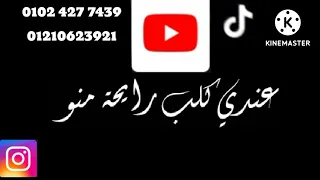 عندي كلب رايحة منو   حاله واتس  جديد لسة منزلش   مهرجانات      تصميم تيم الاسكندراوية   دندنها