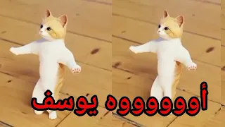 اغنية باسم يوسف الزين يوسف السعودية الكويت العراق تركيا قطر مسقط البحرين الجزائر جده دبي الرياض 