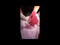 How to Get Darker and Longer Looking Eyelashes With a Lash Lift Scherl Dermatology New Jersey