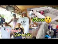 Download Lagu Libreng shirt | Salamat ate Mari @ReaFeelingera