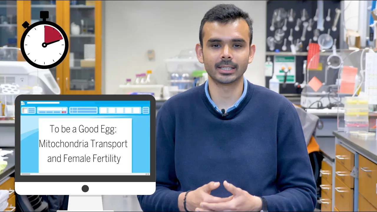 Restoring the Powerhouse of Fertility | Dissertation in One Minute