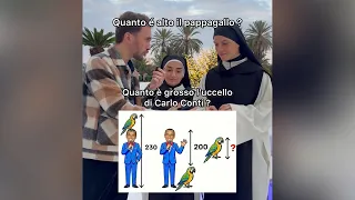 Quanto è grosso il "pappagallo" di Carlo Conti?