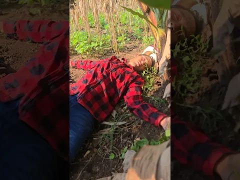 Le PICO esto a PAPÁ 🕷 #shorts #viral