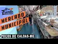 CONHECA O MERCADO MUNICIPAL DE POCOS DE CALDAS - MG