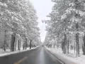 Snowy drive to Alturas Ca husband