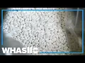 U S regulators greenlights pill version of weight loss drug Wegovy