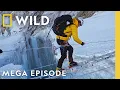 Inside the Harshest Climates on Earth MEGA Episode Nat Geo Animals