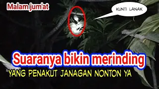 Download #VIRAL...SUARA KUNTILANAK TEREKAM JELAS SA'AT MANCING BELUT#MAMCING BELUT MALAM JUM'AT KELIWON MP3