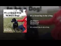 It's a Great Day to Be a Dog