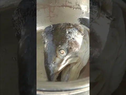 Подробный рецепт на канале.