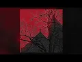 Dystopia - My meds aren't Working / Firtst Part Loop ( Slowed + Reverb )