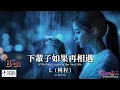 Download Lagu 下辈子如果能再相遇(if we meet again in the next life)mmsub