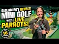NEW Parrot Mountain Mini Golf in Gatlinburg All 18 Holes Live Parrots