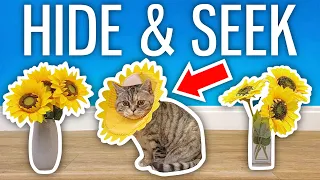 Download Extreme CAT Hide And Seek - Challenge MP3