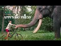 Download Lagu Appu's Big Friend | Kerala Tourism