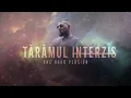 Download Lagu The Urs - Taramul interzis | 1 Hour Version