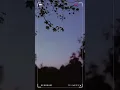 I found this amazing template in CapCut. Copy the link to try it out! https://tinyurl.com/49bndj6h