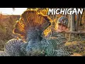 Michigan Spring Turkey Hunt