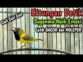 Download Lagu CUIT CUIT SOGON GACOR PENAIK EMOSI, PANCINGAN SOGON TROTOL GACOR LATIH CEPAT NEMBAK FULL ISIAN KASAR
