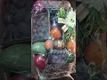 Download Lagu ashram road , charkhi dadri haryana #fresh #fruit #shortvideo  #super #shorts #short #viral #basket