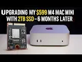 Upgrading My 599 M4 Mac Mini with 2TB SSD - 6 Months Later