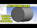 MESHING - Multizone Inflation Face Meshing