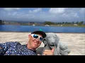 Maui STORM and POWER OUTAGE Update February 2026