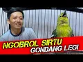 NGOBROL SIRTU JAWARA!! berbagi tips settingan sirtu gantangan bersama IVAN