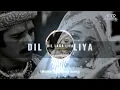 Dil Laga Liya (Trap Remix) | Euphoria x Dil Laga Liya | Shally Rehal, Alka Yagink |