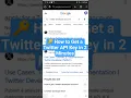 How to Get a Twitter API Key in 2 Minutes