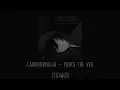 Download Lagu Pierce The Veil - Caraphernelia (Slowed)