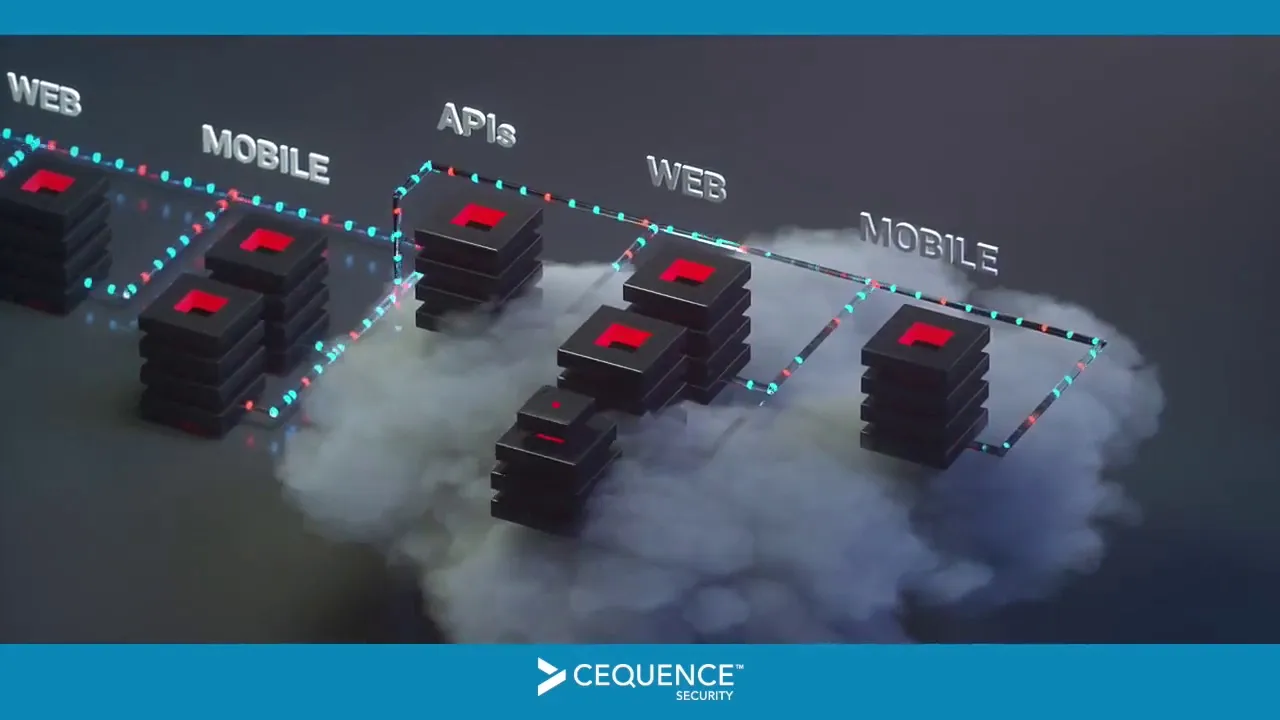 Cequence Security Business values video