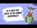 Is it safe for dogs to eat rabbit droppings