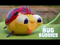 Download Lagu BUG BUDDIES in Bug Munch... and more! 🐛🐞🐜 New Delicious Cartoons Every Week 😍 | Cartoons for Kids