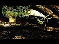 Download Lagu Nyctophobic - Insects ∙ FULL ALBUM ∙ GRINDCORE