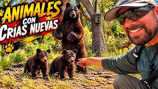 ESTO ES INCREÍBLE VALIÓ LA PENA