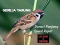 Download Lagu MASTERAN GEREJA TARUNG PLUS JEDA1