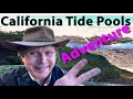 Exploring Tide Pools - Fitzgerald Marine Reserve on Pacific Coast Highway