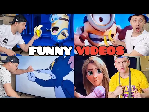 CARTOON | The BEST of Carton Box | Hilarious Compilation ?