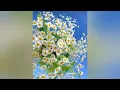 Download Lagu .Erkenci kuş.  sanada günaydin