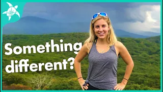 Hiking in the Shenandoah National Park!