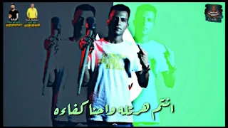 حاله واتس مهرجان  بيره مشبره  عصام صاصا        دندنها