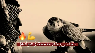 بعدني بخير ما معتاز عوانه داعيك صكر زوده على جنحانه شعر زماط ستوريات زماط  بعدني بخير ما معتاز عوانه داعيك صكر زوده على جنحانه شعر زماط ستوريات زماط