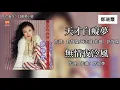 邓瑞霞 Camy Tang - 天才白痴梦 + 无情夜冷风（Lyrics Video）