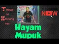 Download Lagu HAYAM MUPUK_ ( TANPA KENDANG)