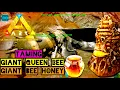 How to Tame Giant Bee Queen And Farm Giant Bee Honey Ark Mobile Ark Ultimate Mobile Edition