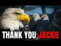 Goodbye Jackie How a Wild Bald Eagle Changed the World
